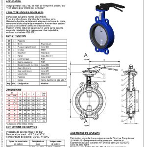 Vanne à papillon EPDM INOX PN16 Diamètres disponibles: 50/65/80/100/125/150/200/250/300