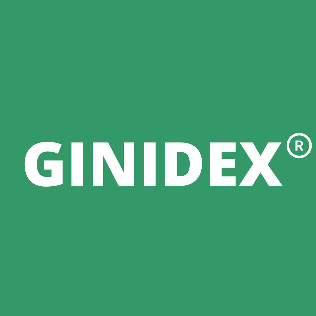 GINDEX ALGERIE